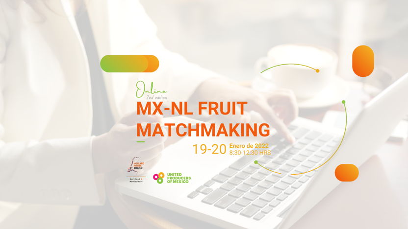 MX-NL Fruit Matchmaking: Connecting with Europe