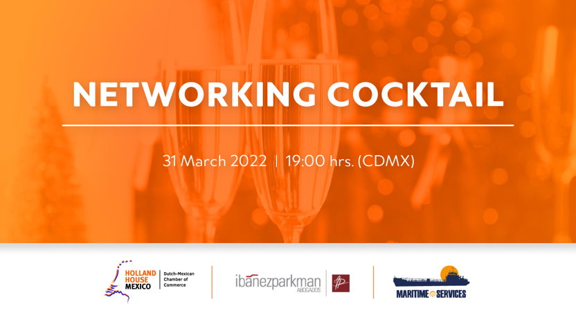 Networking Cocktail