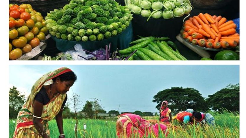 Horticulture study Bangladesh