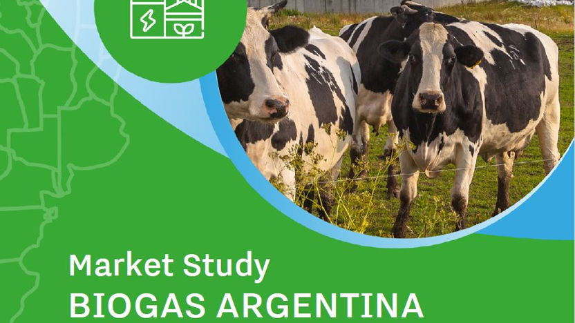 Marktrapport Argentinië: Biogas